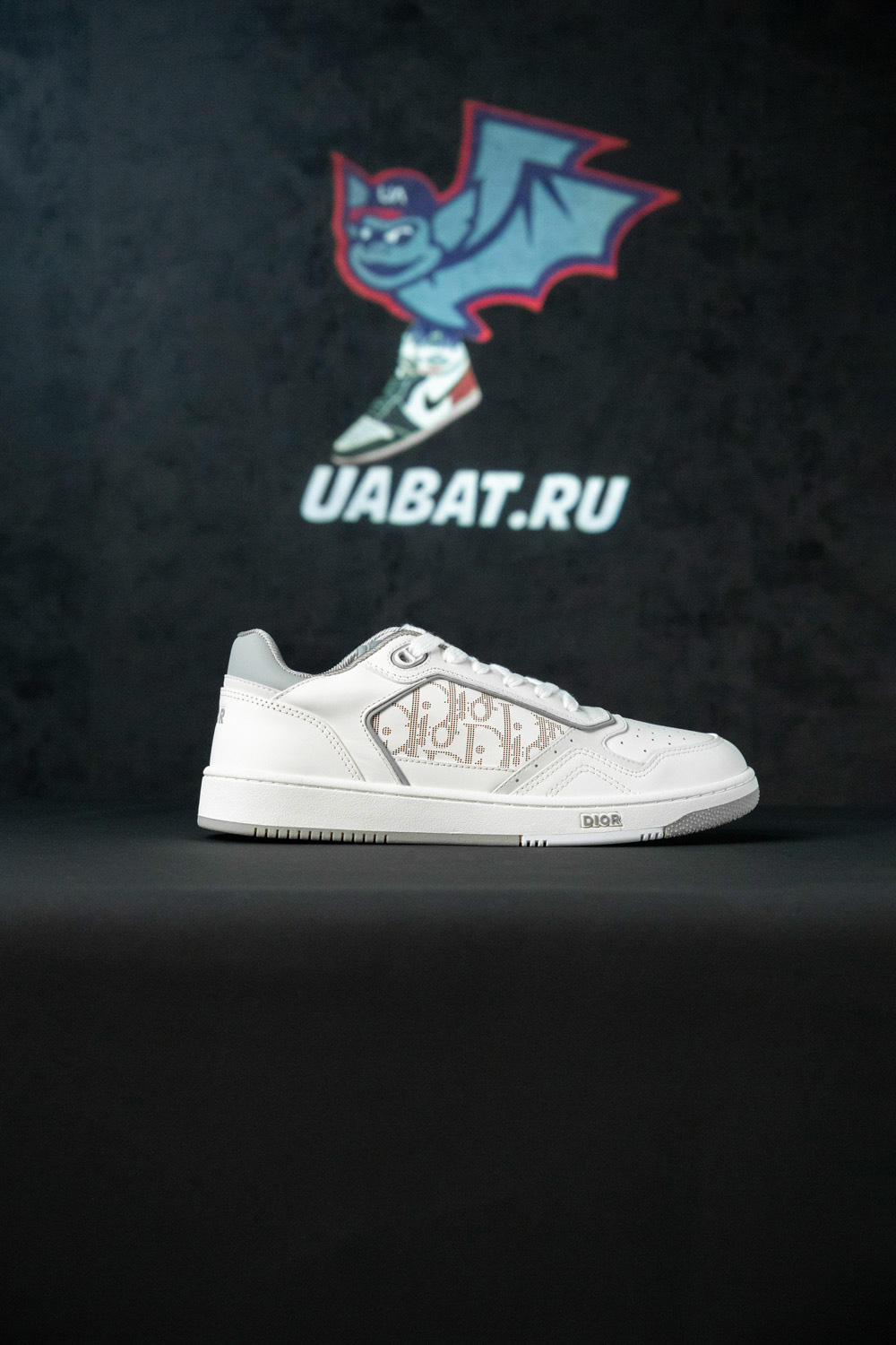 Dior B27 Low 