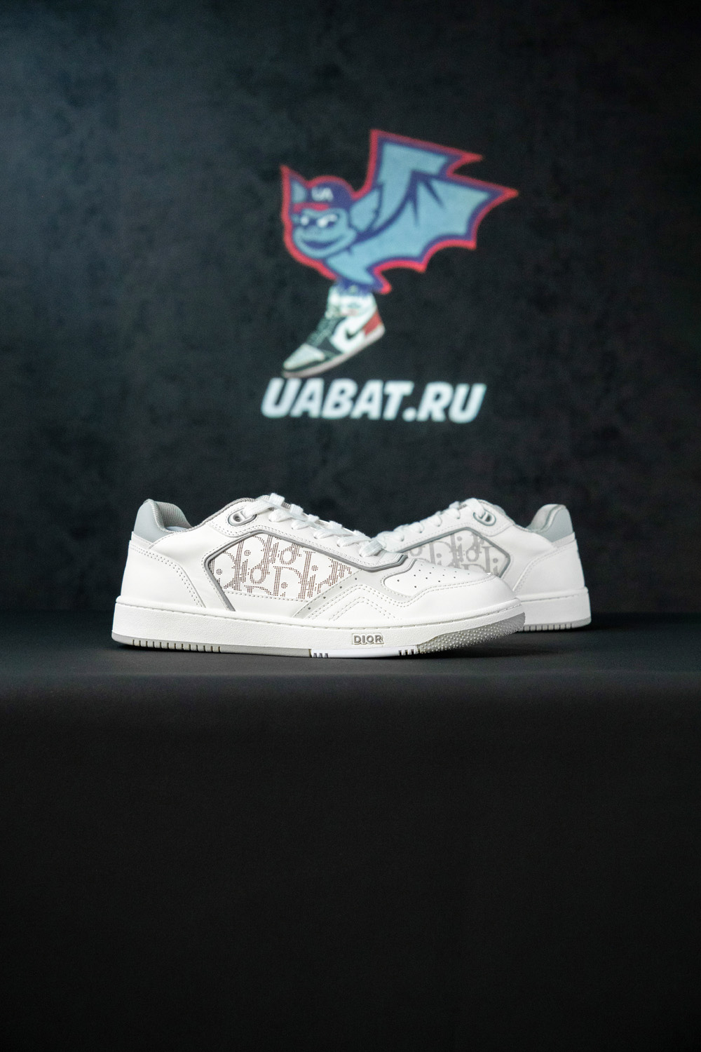 Dior B27 Low 