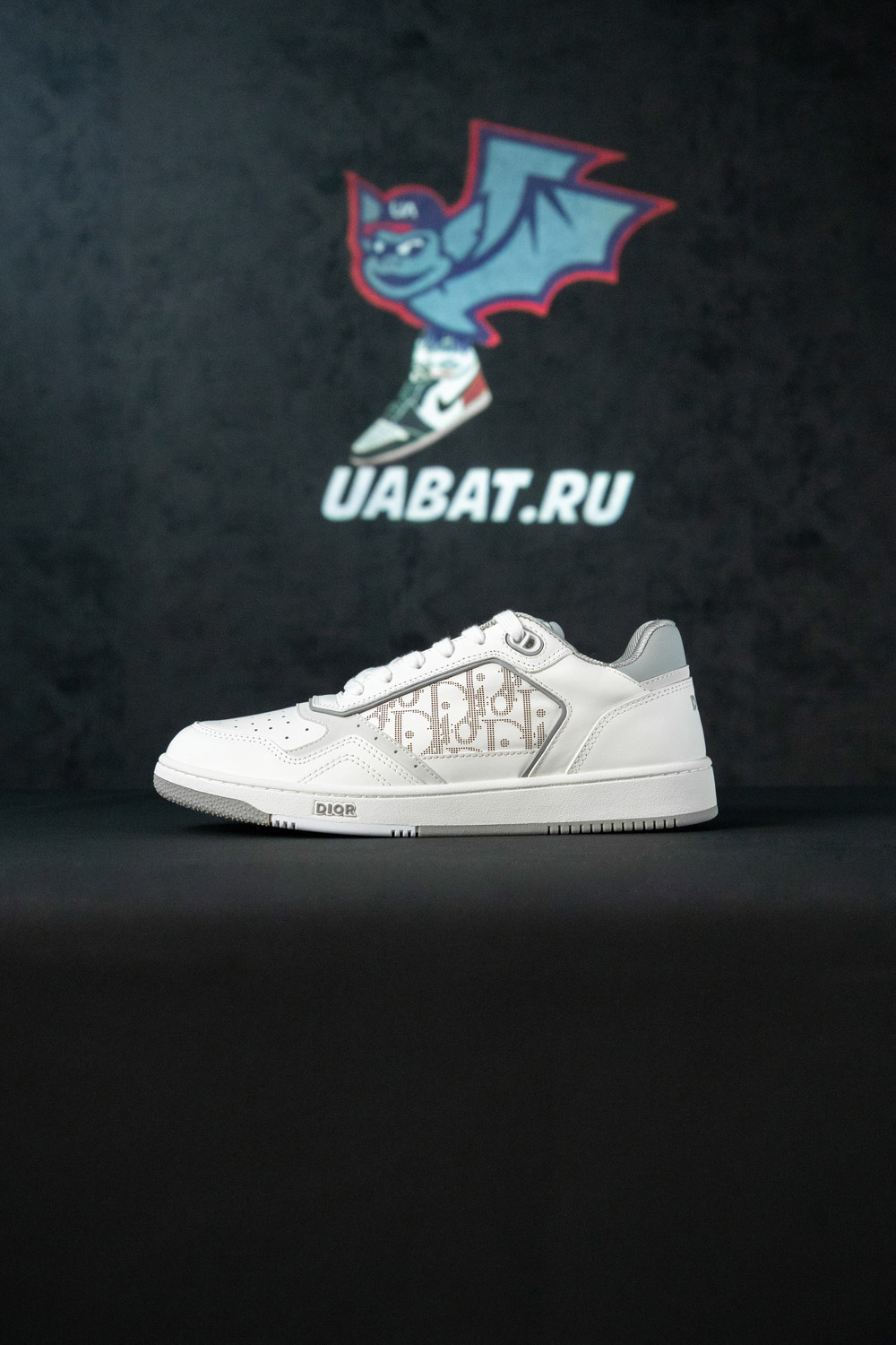 Dior B27 Low 