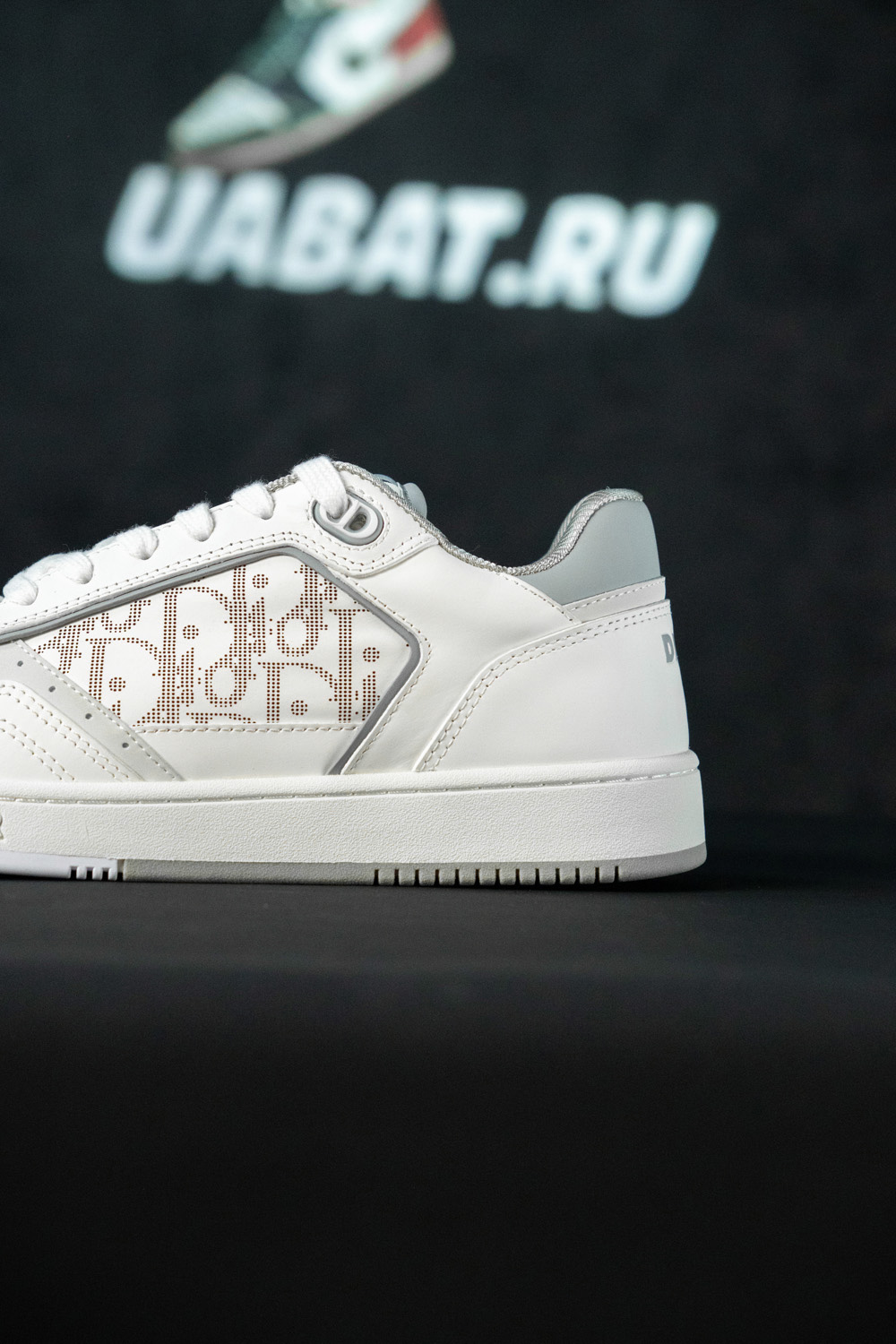Dior B27 Low 