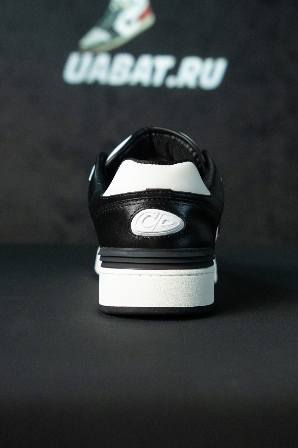 Dior B57 Low 