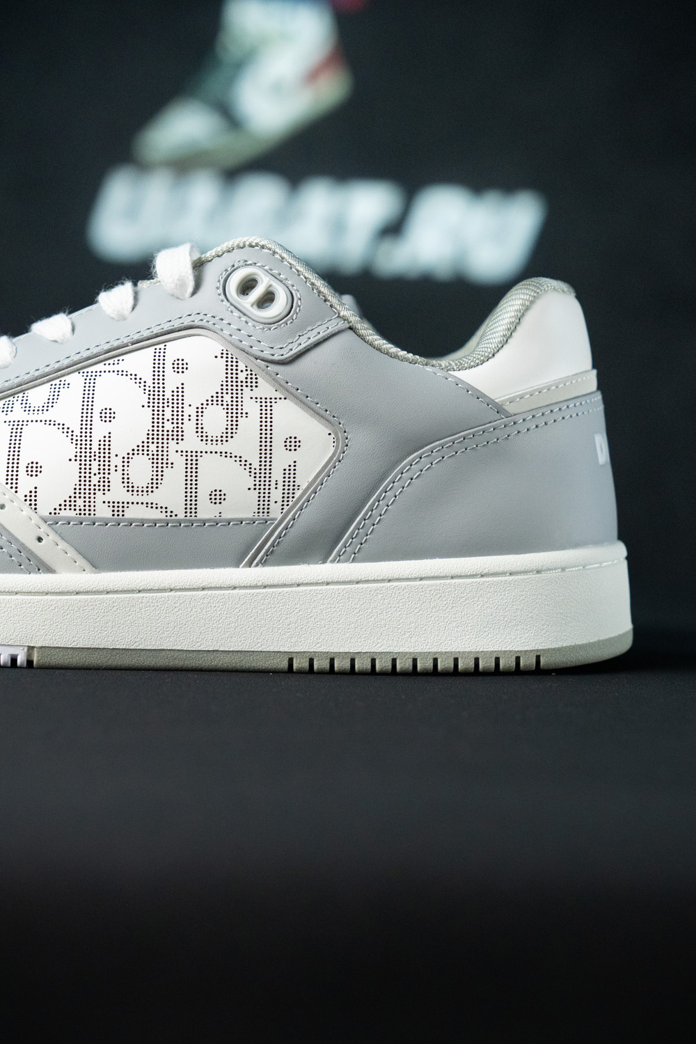 Dior B27 Low-Top Sneaker Gray