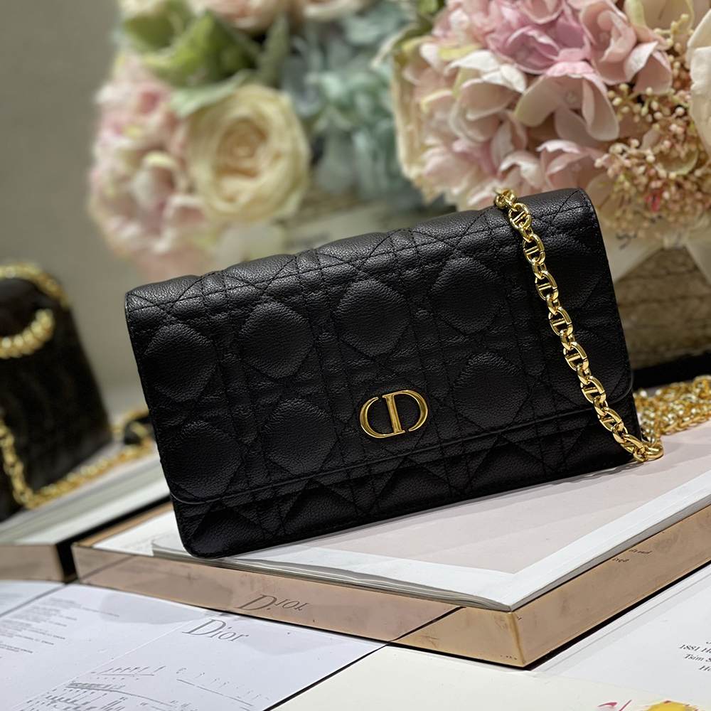 Christian Dior Bags 5091D 20*11.5*3.5cm