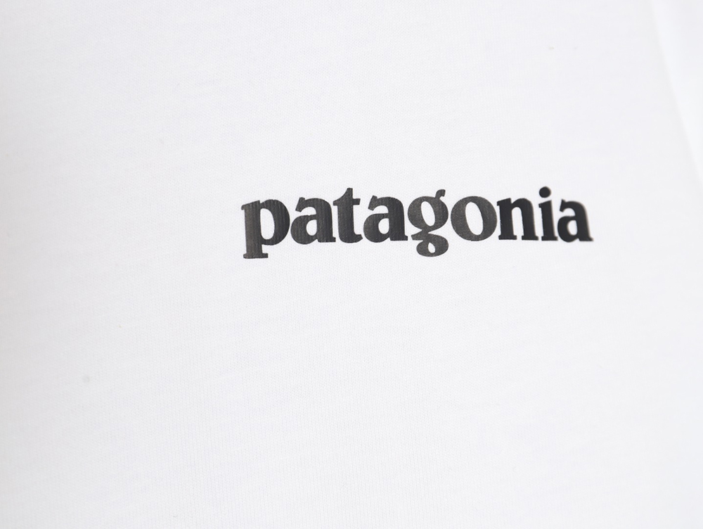 Patagonia Logo Print Short Sleeve