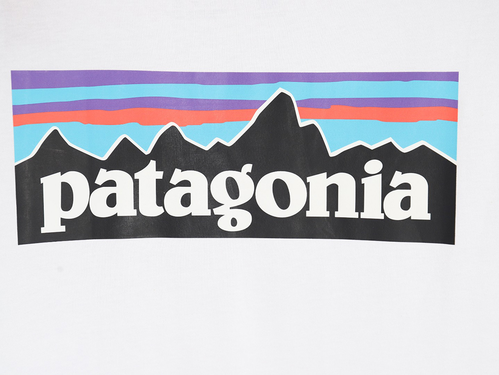 Patagonia Logo Print Short Sleeve