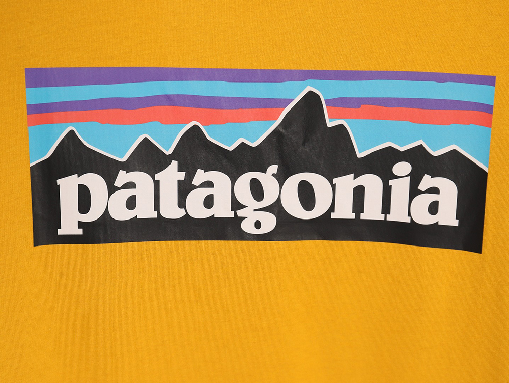 Patagonia Logo Print Short Sleeve TSK1