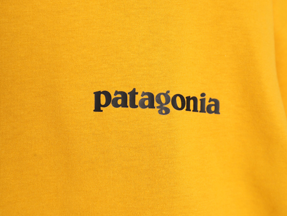 Patagonia Logo Print Short Sleeve TSK1