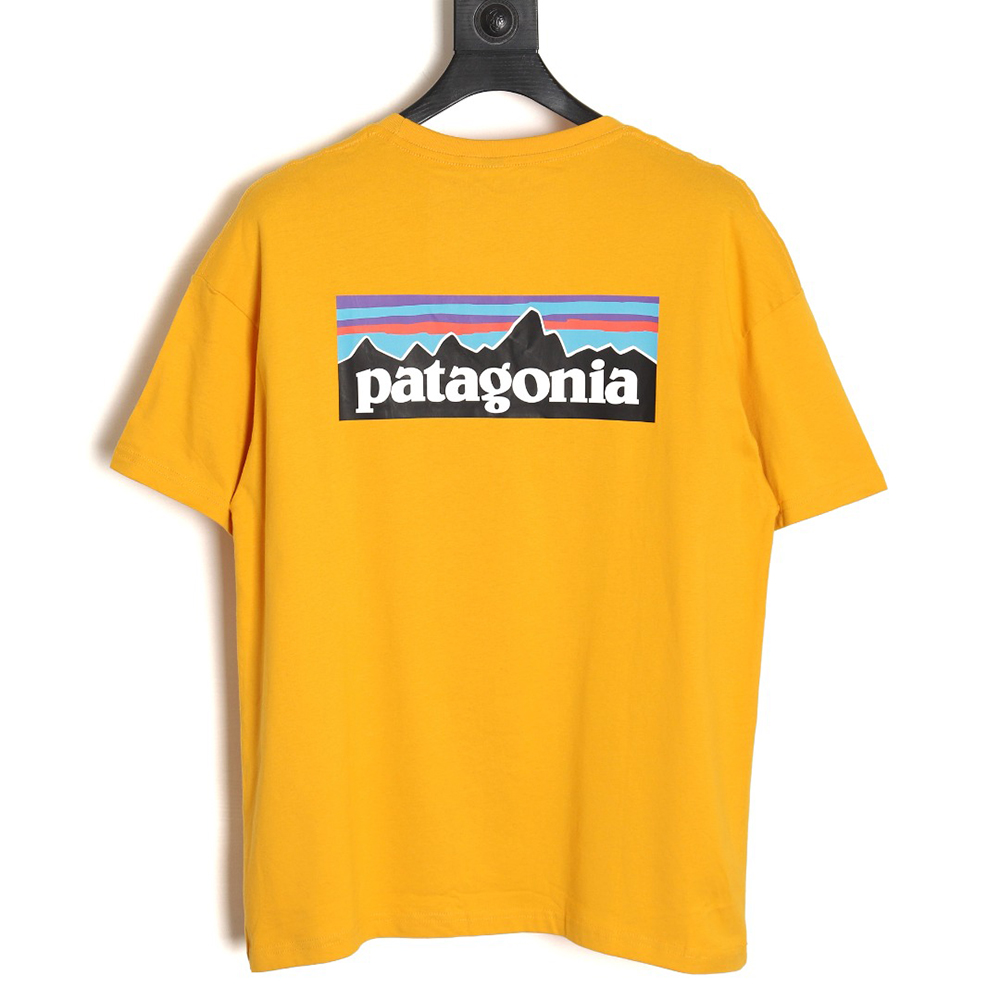 Patagonia Logo Print Short Sleeve TSK1