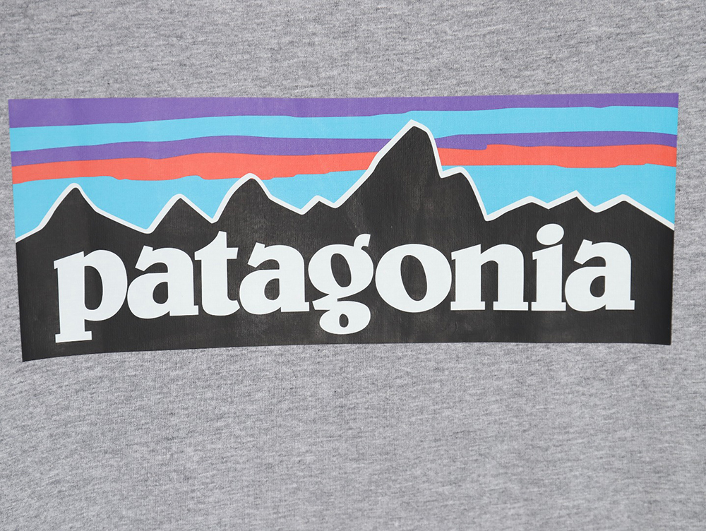 Patagonia Logo Print Short Sleeve TSK2