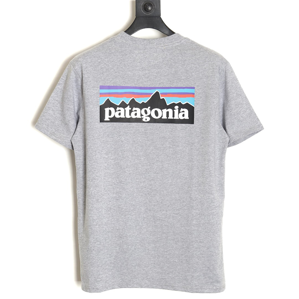 Patagonia Logo Print Short Sleeve TSK2