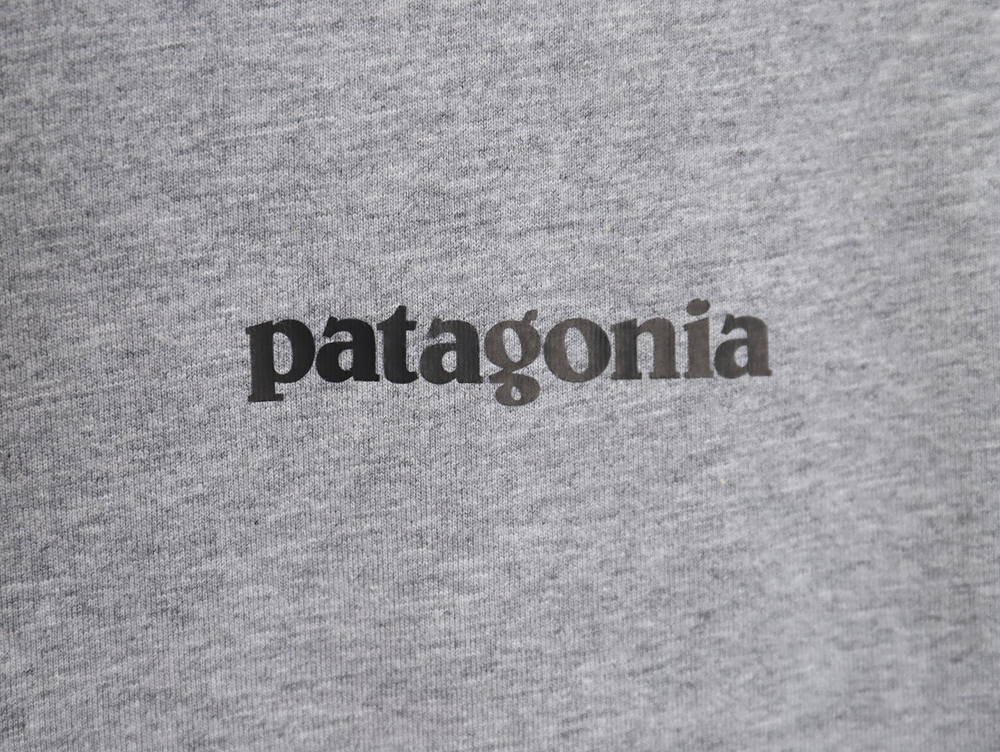 Patagonia Logo Print Short Sleeve TSK2