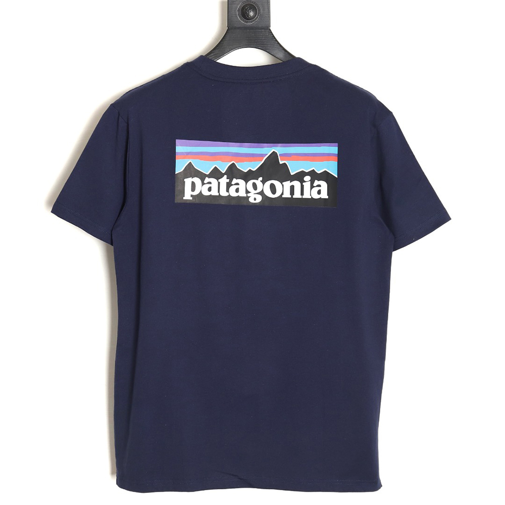 Patagonia Logo Print Short Sleeve TSK3