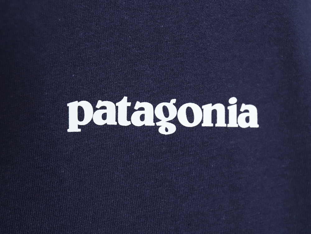 Patagonia Logo Print Short Sleeve TSK3