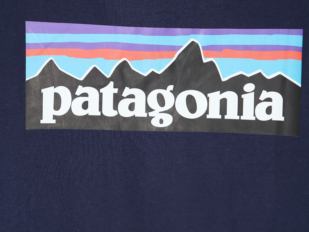 Patagonia Logo Print Short Sleeve TSK3