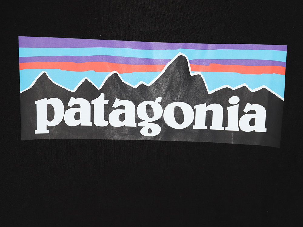 Patagonia Logo Print Short Sleeve TSK4