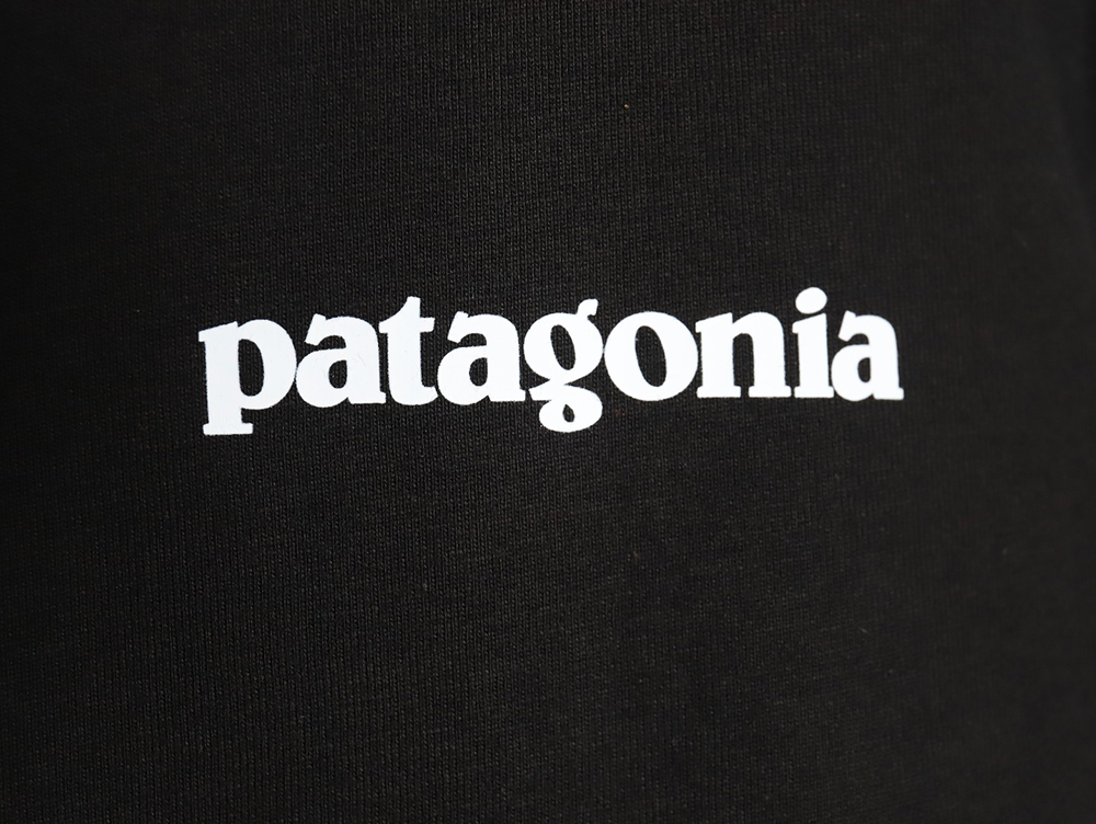 Patagonia Logo Print Short Sleeve TSK4