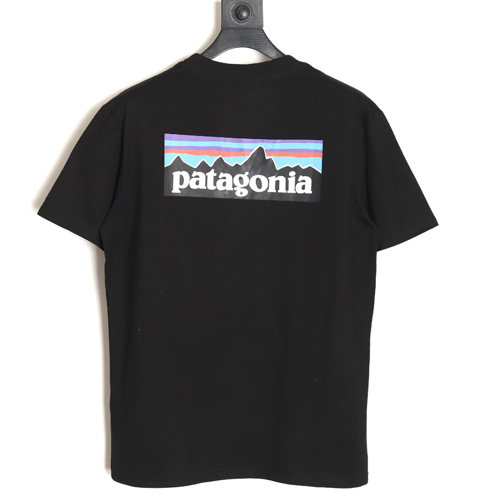 Patagonia Logo Print Short Sleeve TSK4