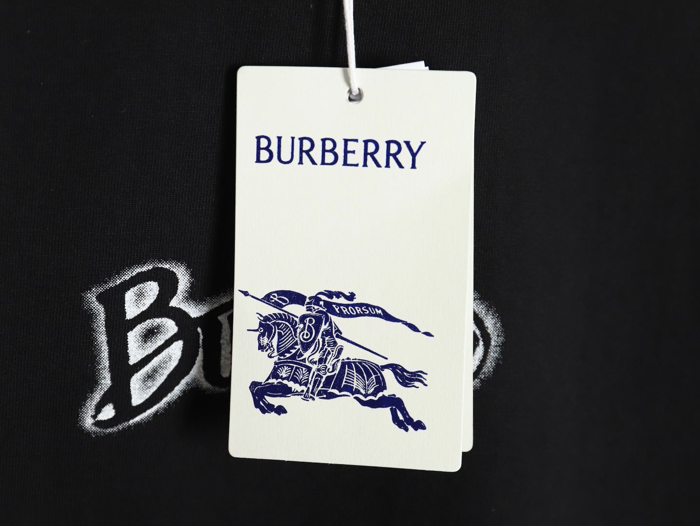 Burberry cursive lettering print short sleeve TSK1