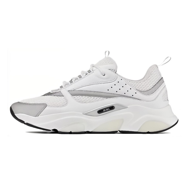 Dior B22 ''White Grey'' 2021