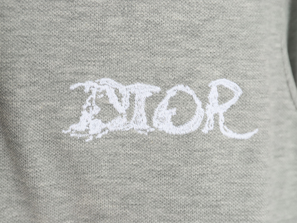 Dior embroidered cloud lettering Polo short sleeve