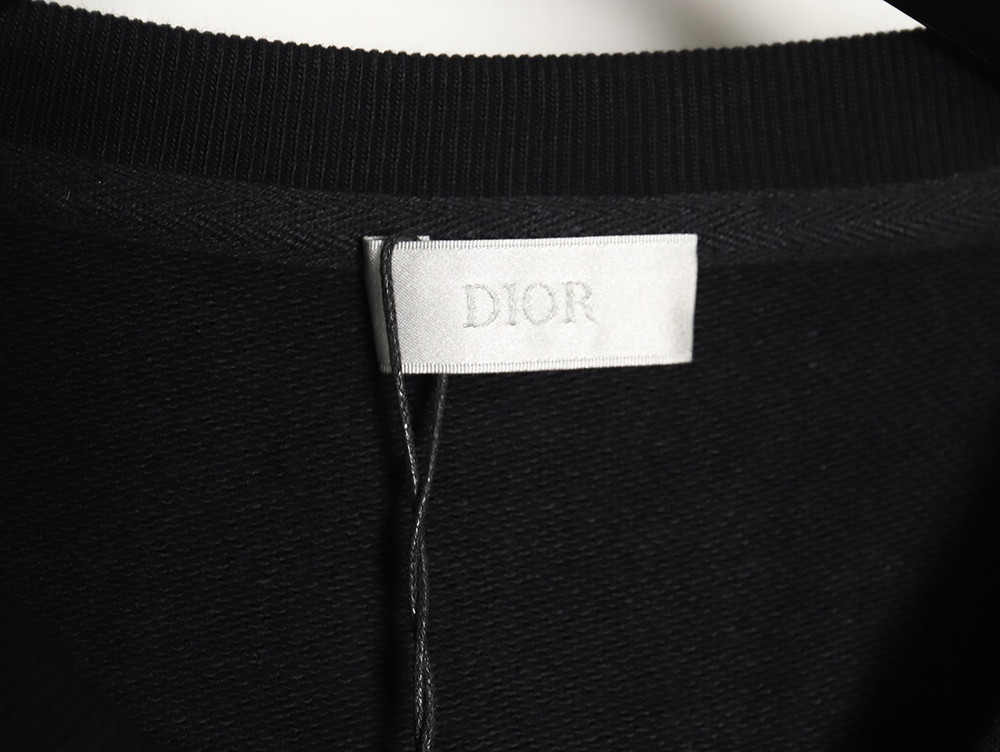 Dior monogram patch crew neck sweatshirt TSK1