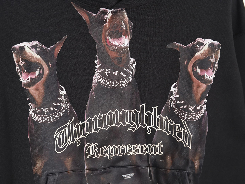 Represent Doberman Hoodie