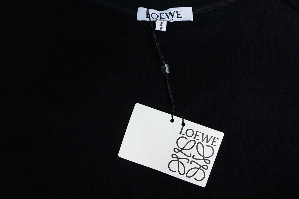 Loewe Displaced Logo 3D Embroidered Crew Neck Sweatshirt