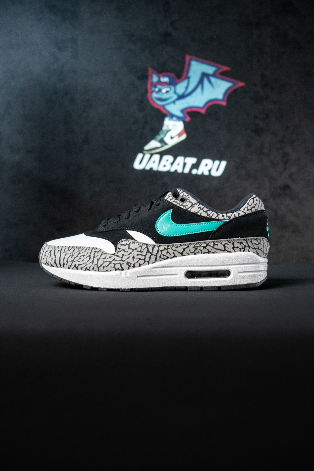 Atmos x Air Max 1 Retro
