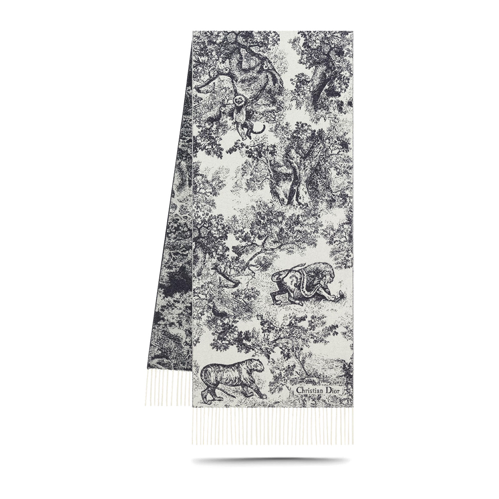 Dior Scarfs C540 210*47cm