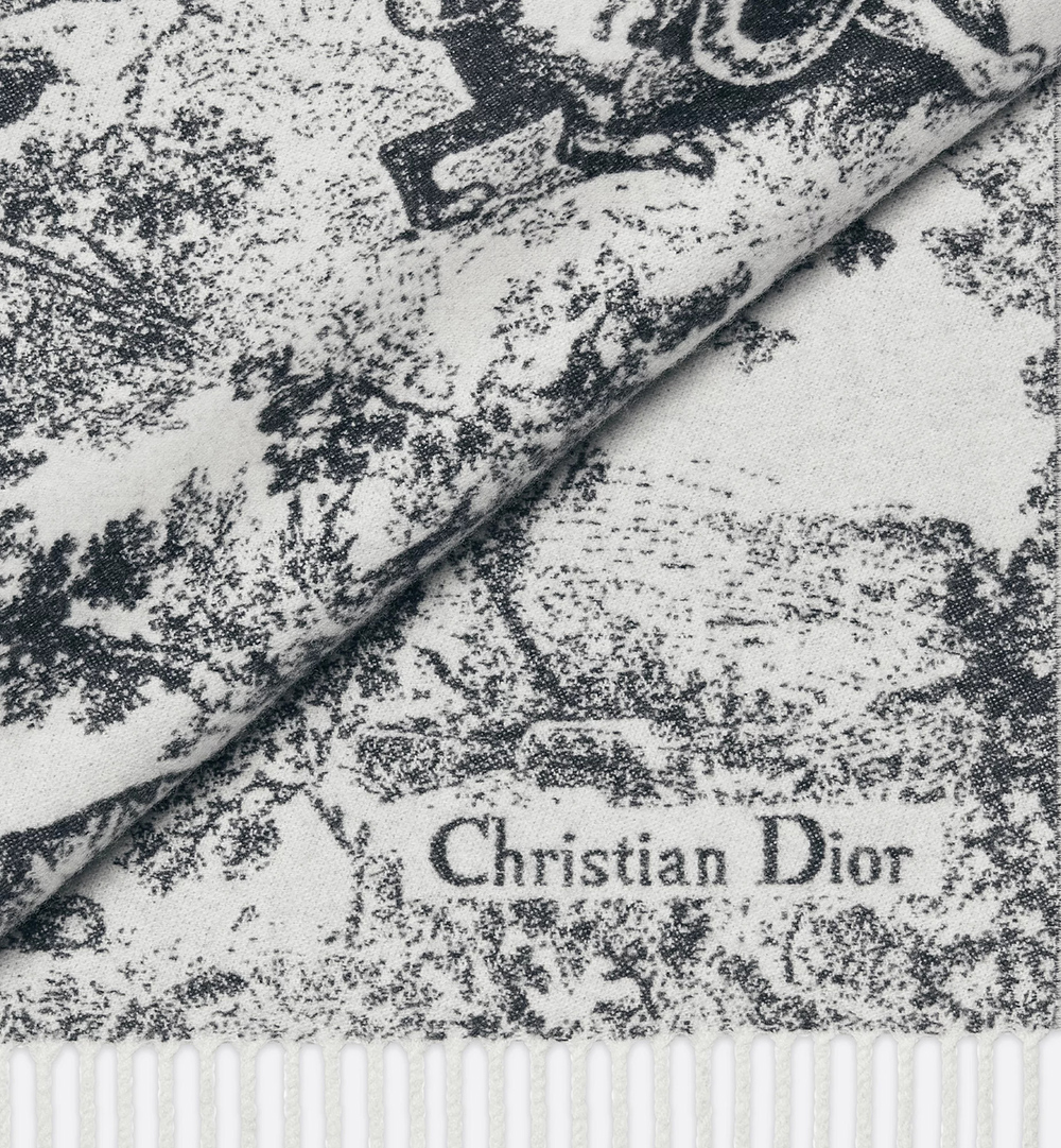 Dior Scarfs C540 210*47cm