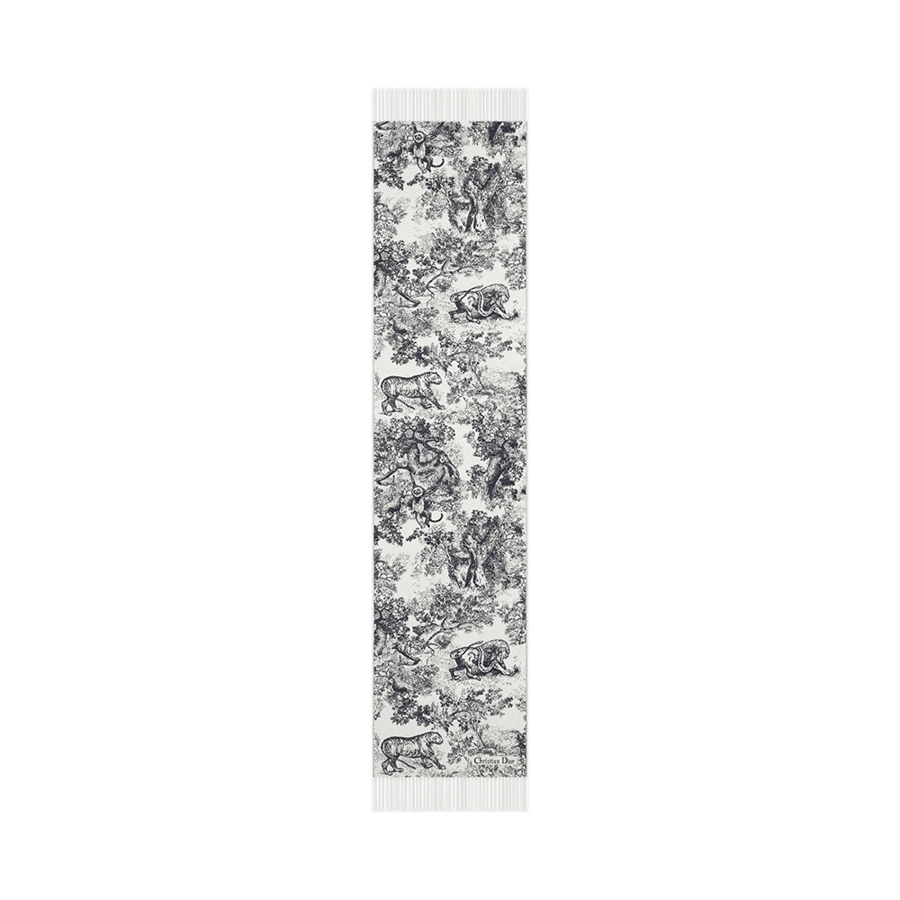 Dior Scarfs C540 210*47cm