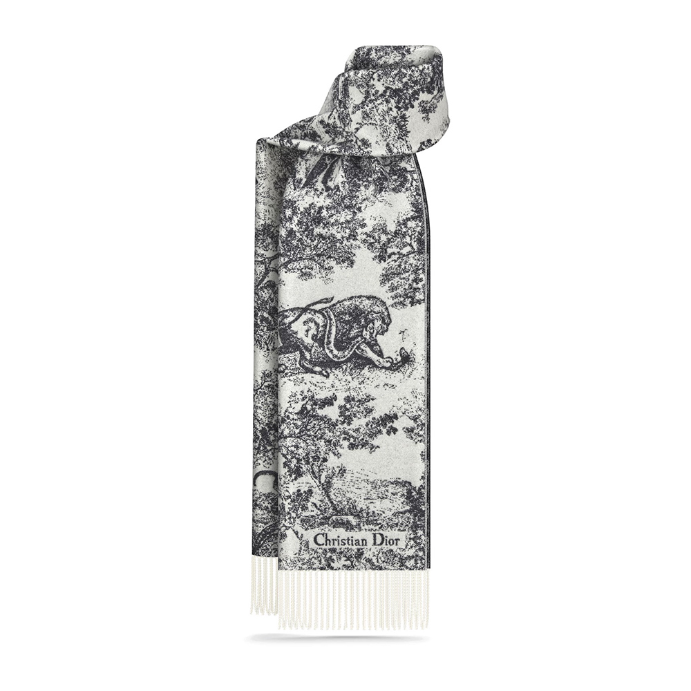Dior Scarfs C540 210*47cm