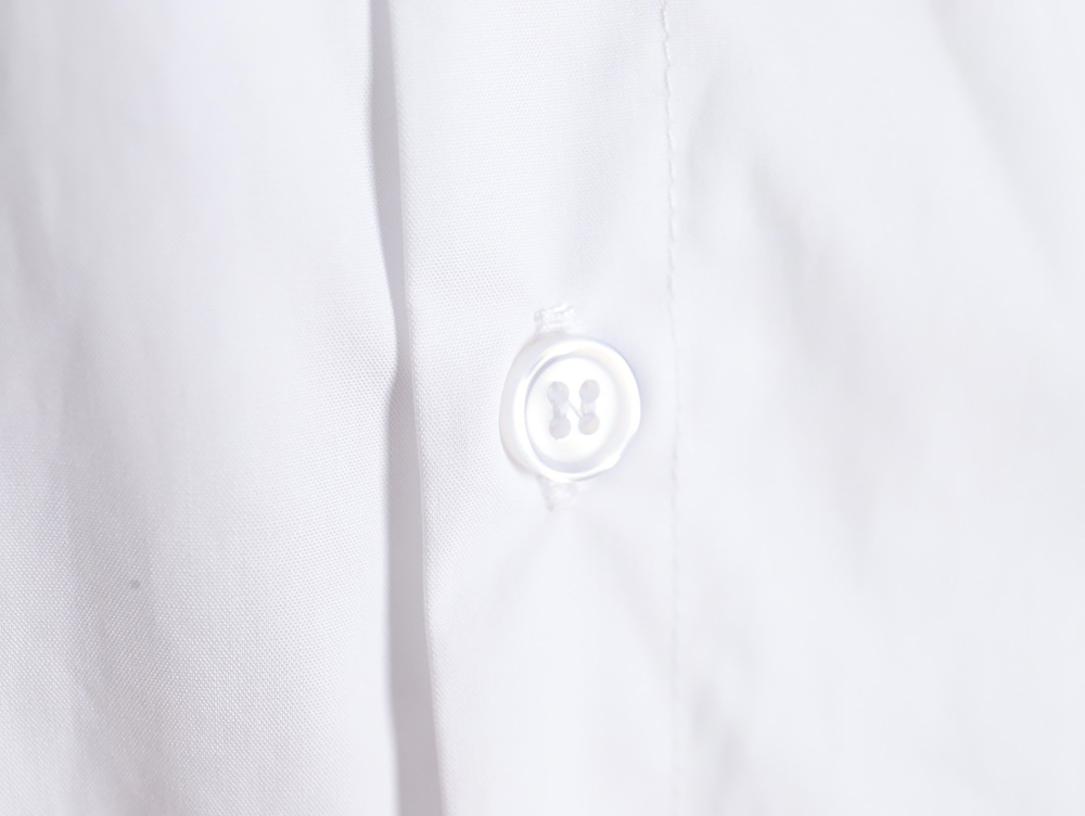 Dior x Kaws bee embroidered shirt TSK1