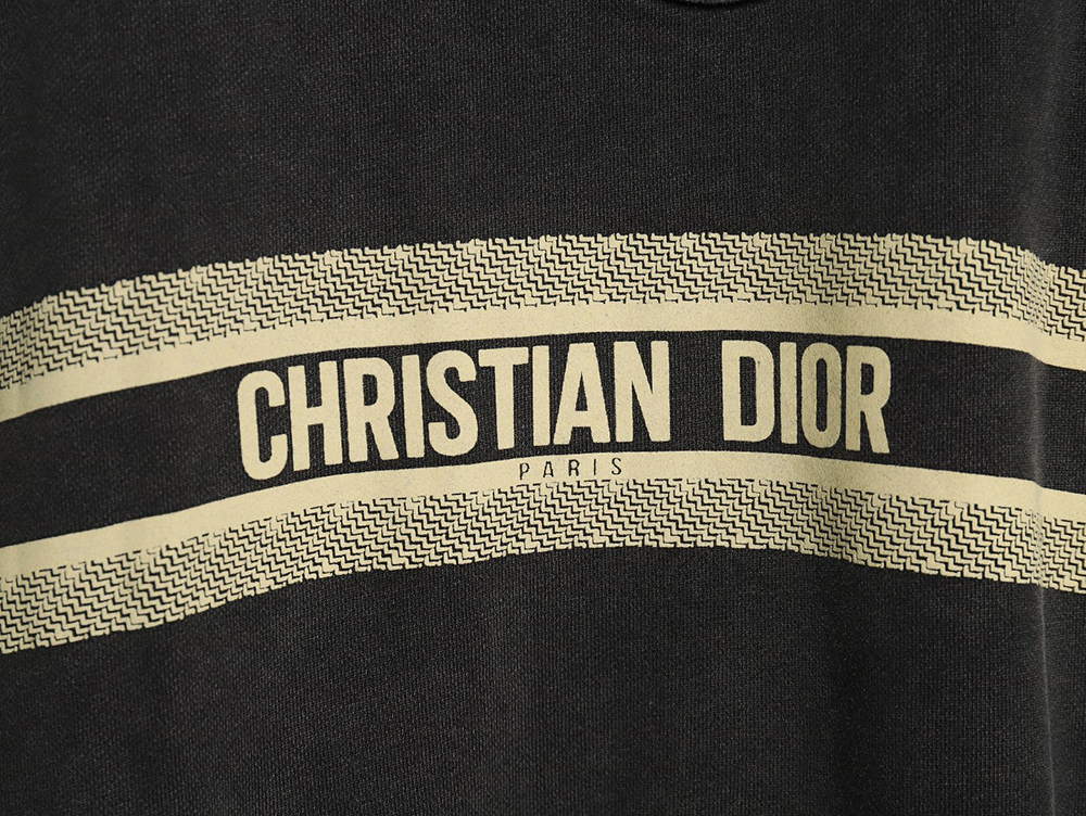Dior washed embroidered lettering crew neck sweatshirt