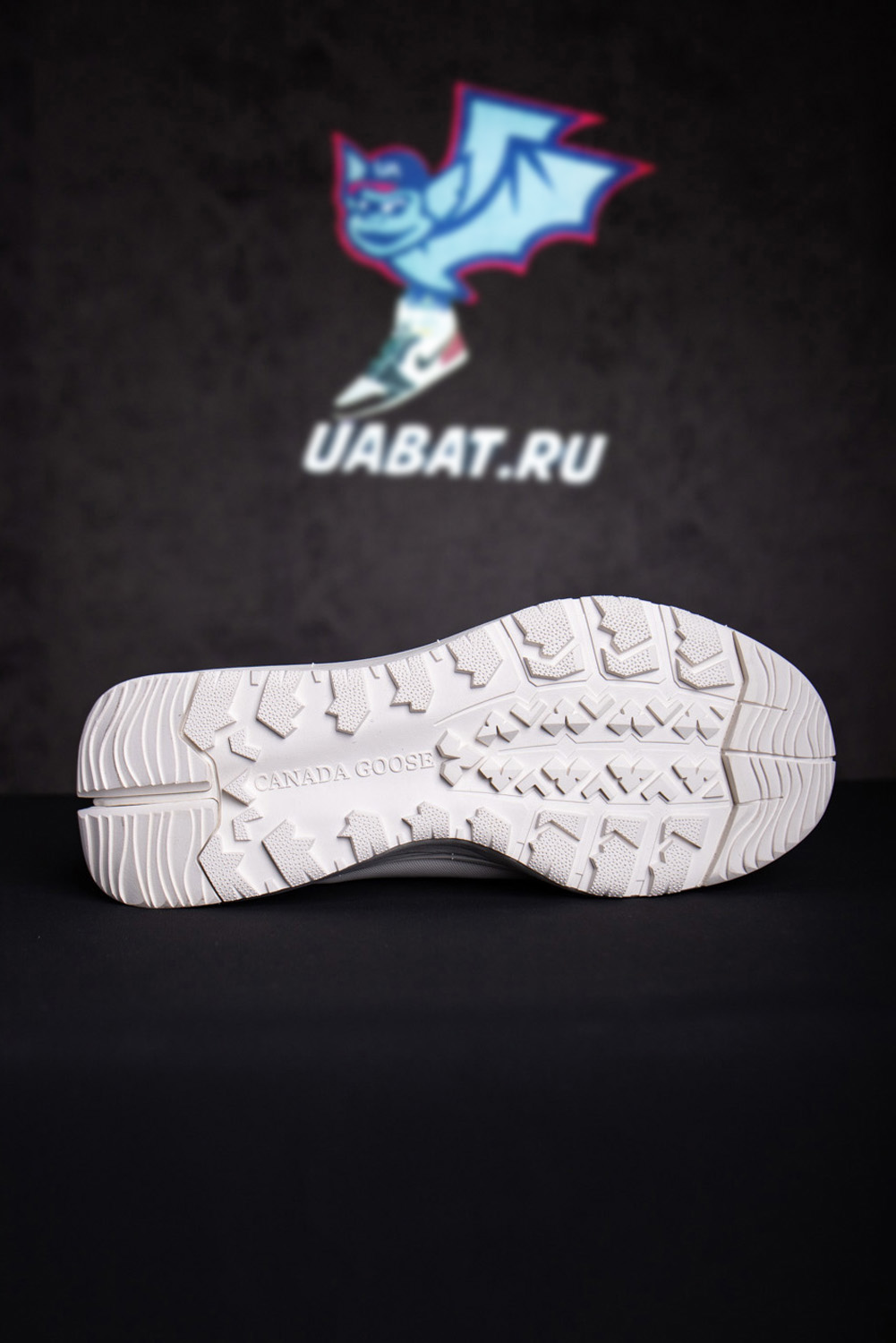 Canada Goose Glacier Trail Sneaker