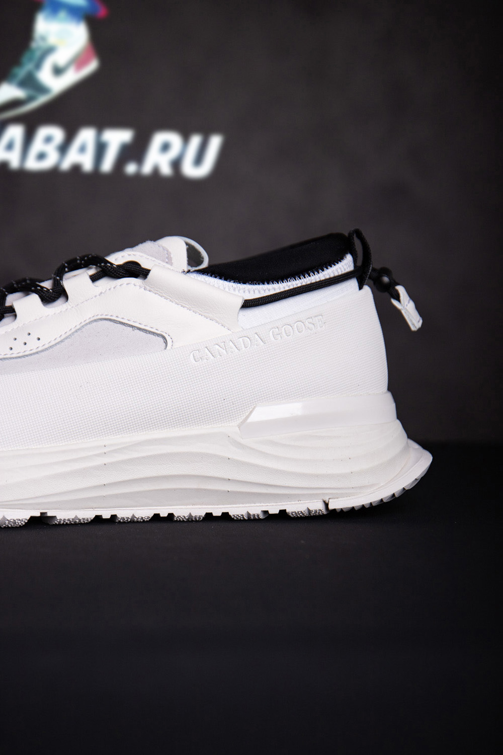 Canada Goose Glacier Trail Sneaker