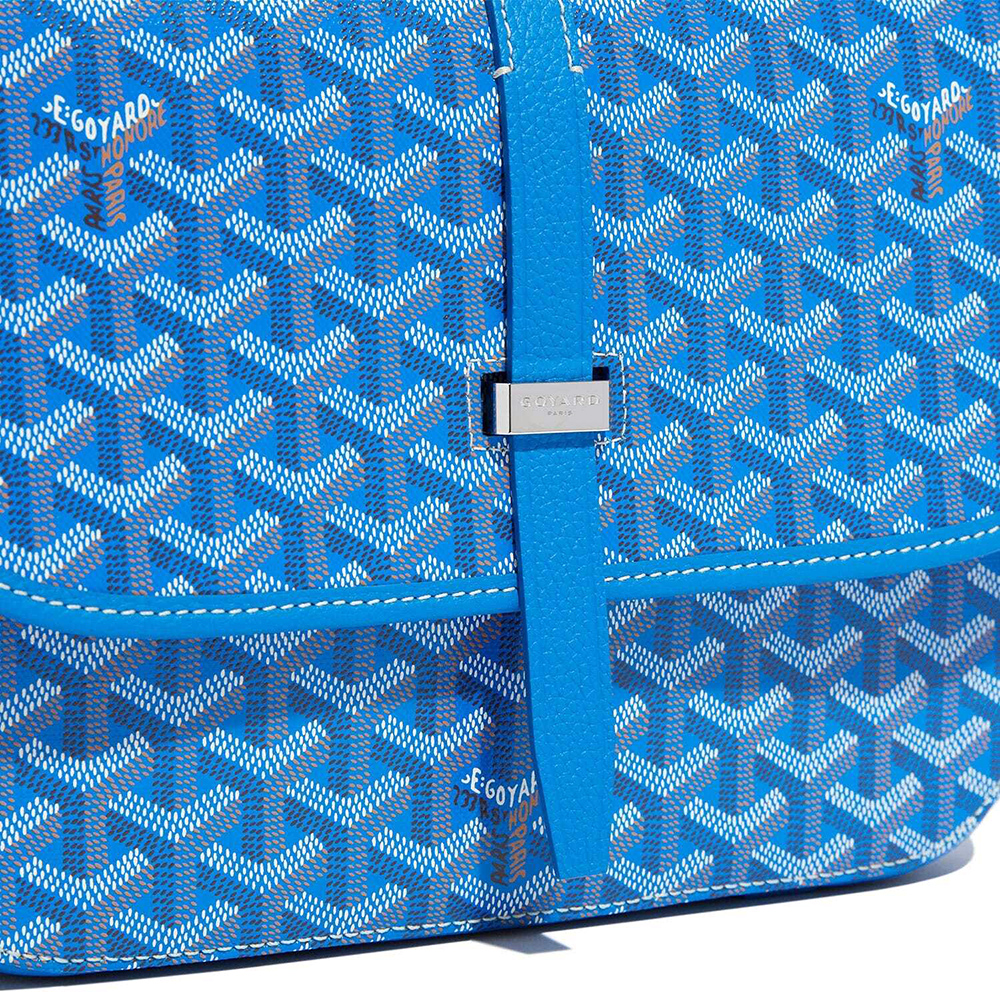 Goyard Bags 1CG10P