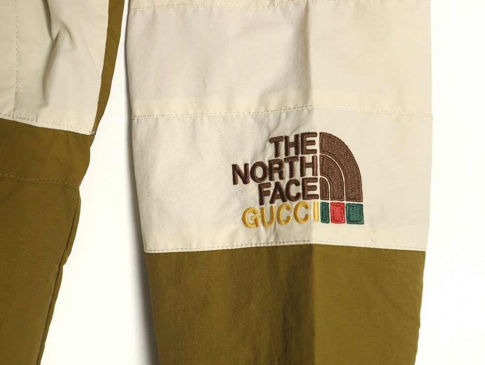 Gucci X The North Face Joint Jacket