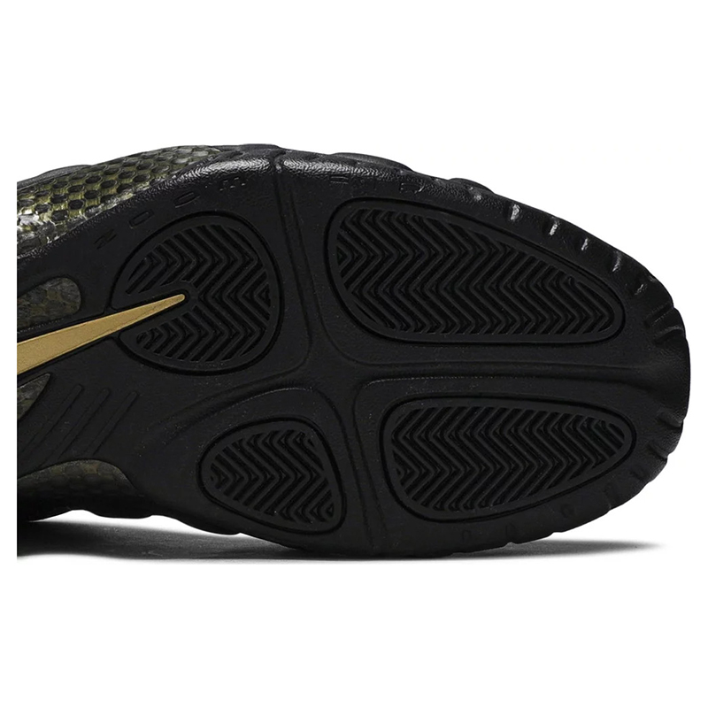 Air Foamposite Pro 
