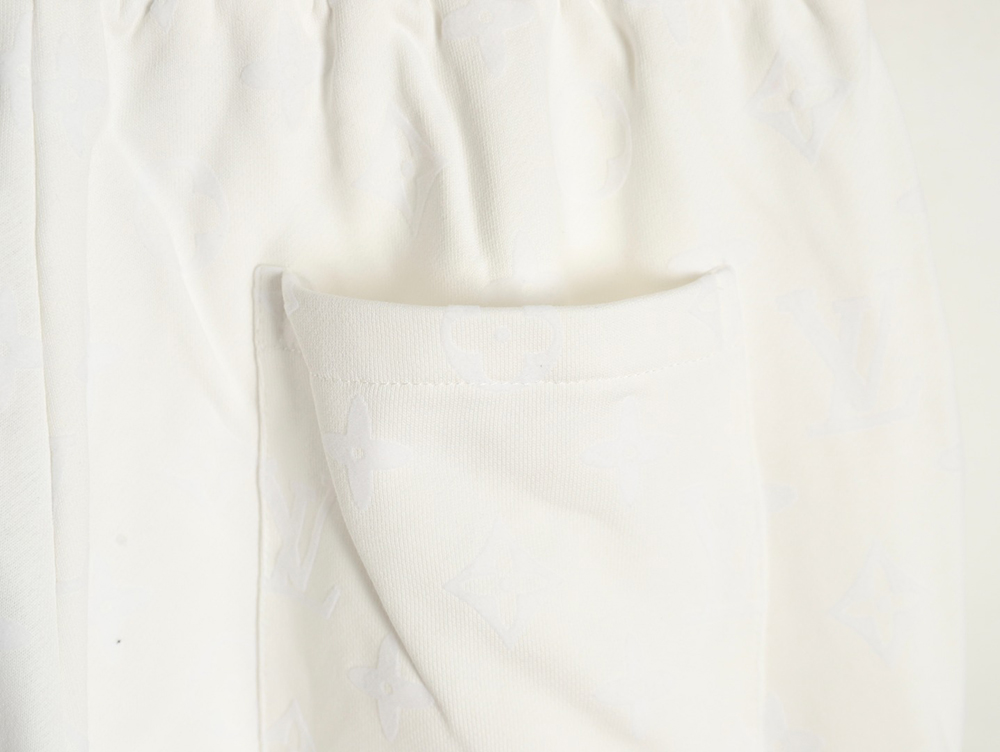 Louis Vuitton monogram flocked trousers