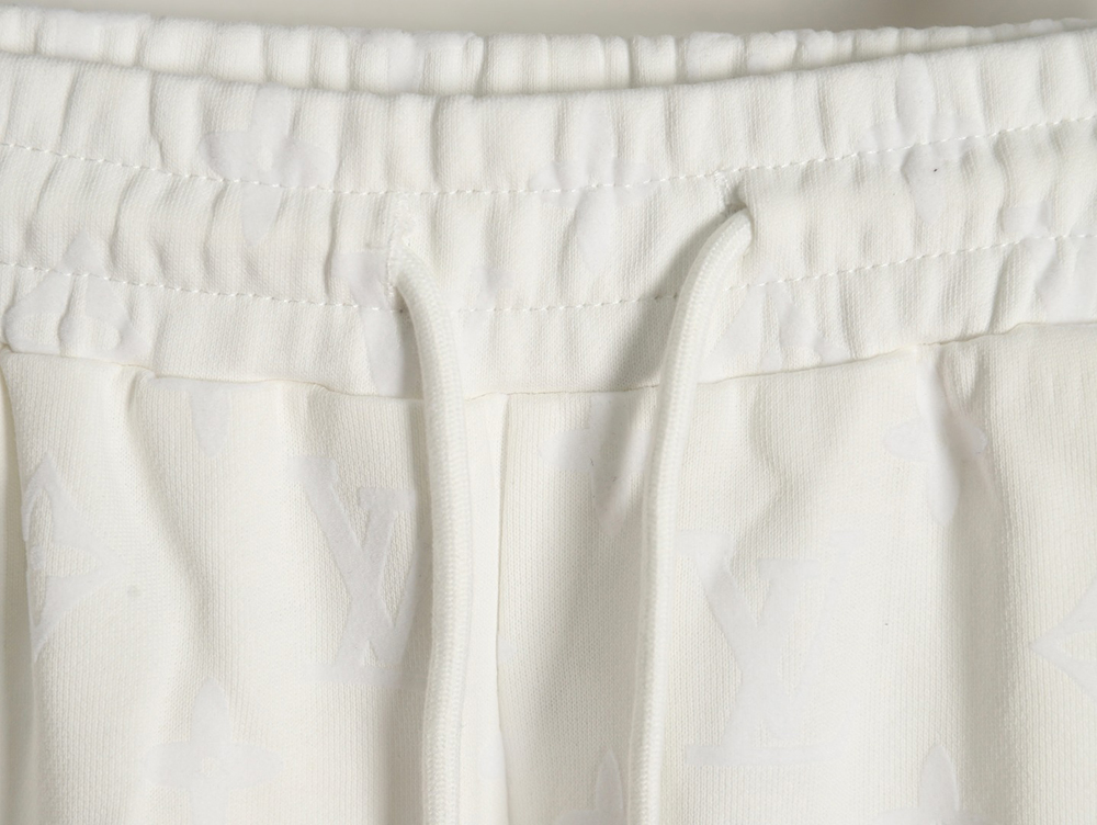 Louis Vuitton monogram flocked trousers