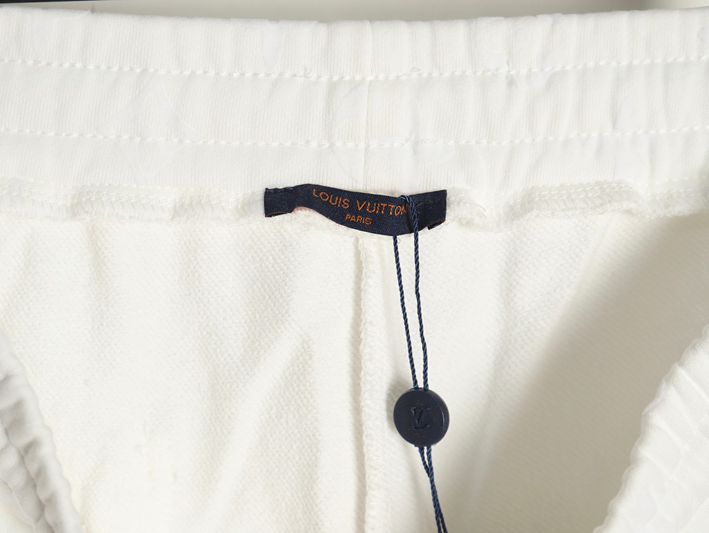Louis Vuitton monogram flocked trousers
