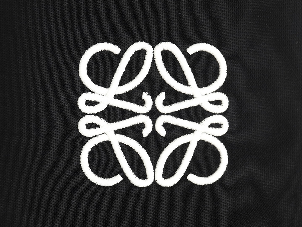 Loewe Web Embroidery Sweatshirt