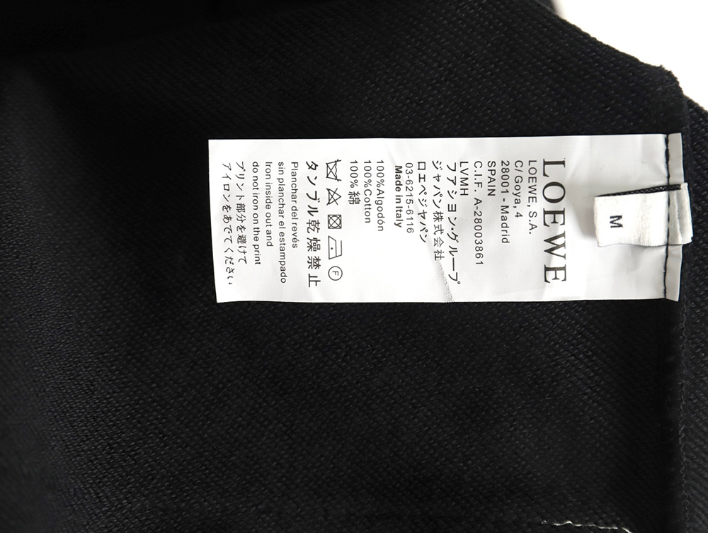 Loewe Web Embroidery Sweatshirt
