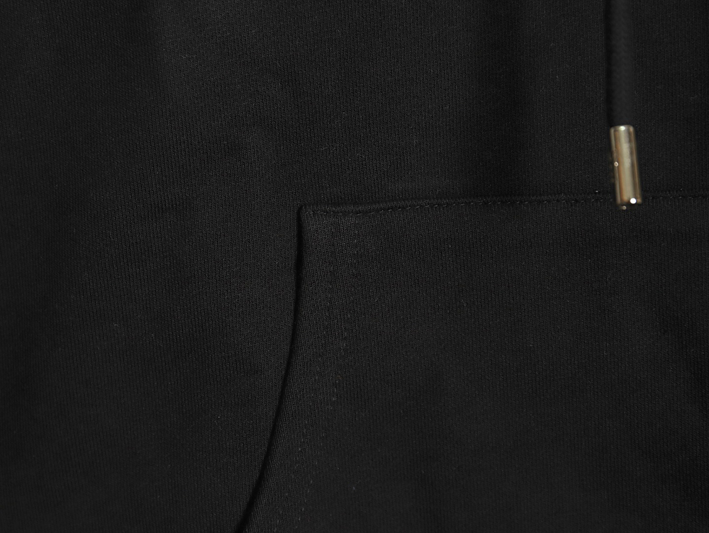 Dior embroidered hoodie TSK1