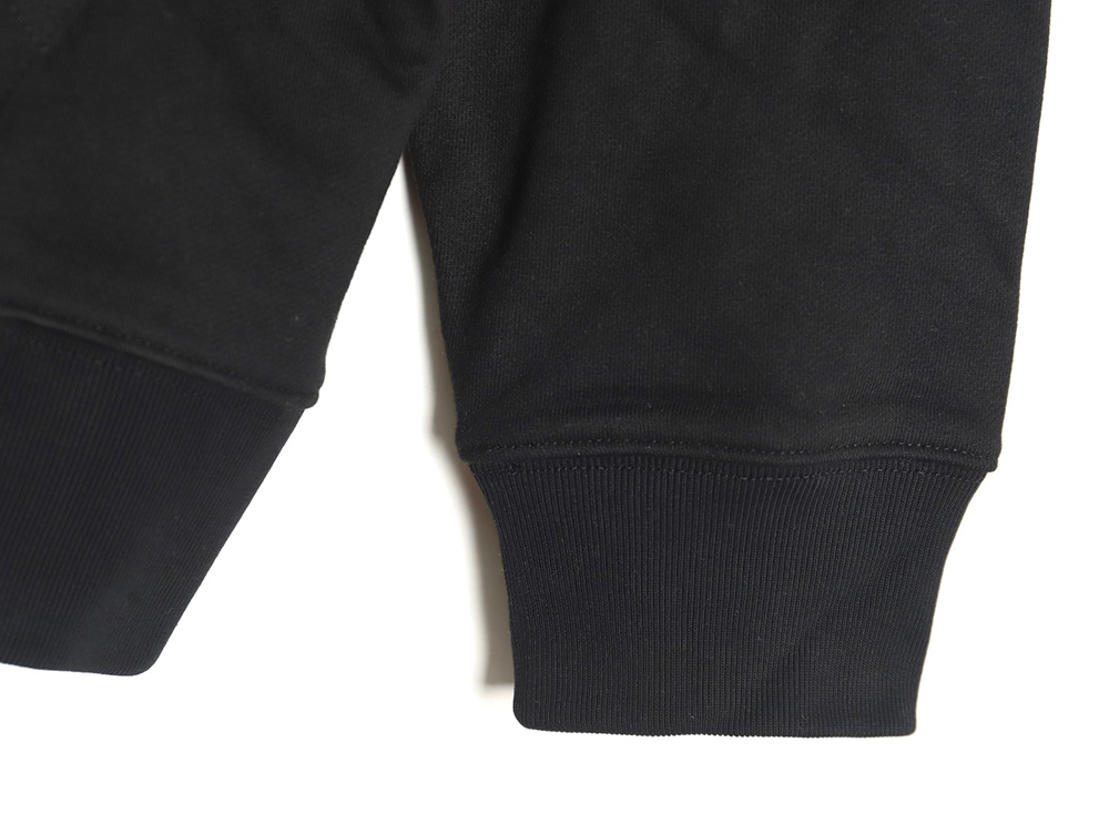Dior embroidered hoodie TSK1