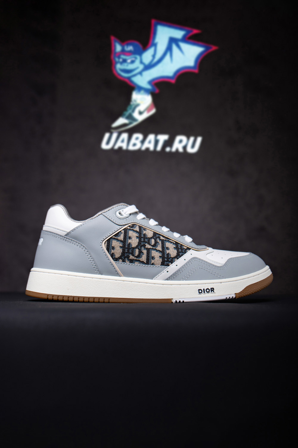 Dior B27 Low 