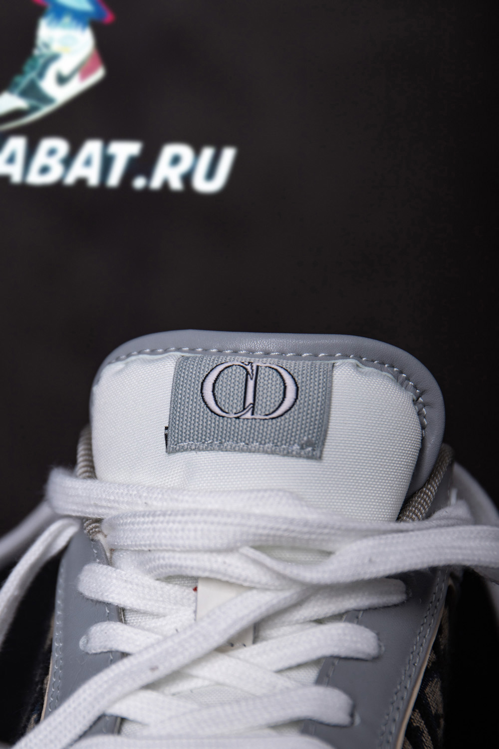 Dior B27 Low 