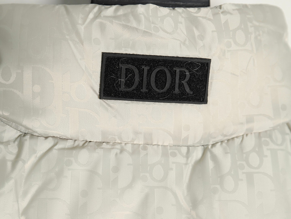 Dior full print dark pattern old flower down vest