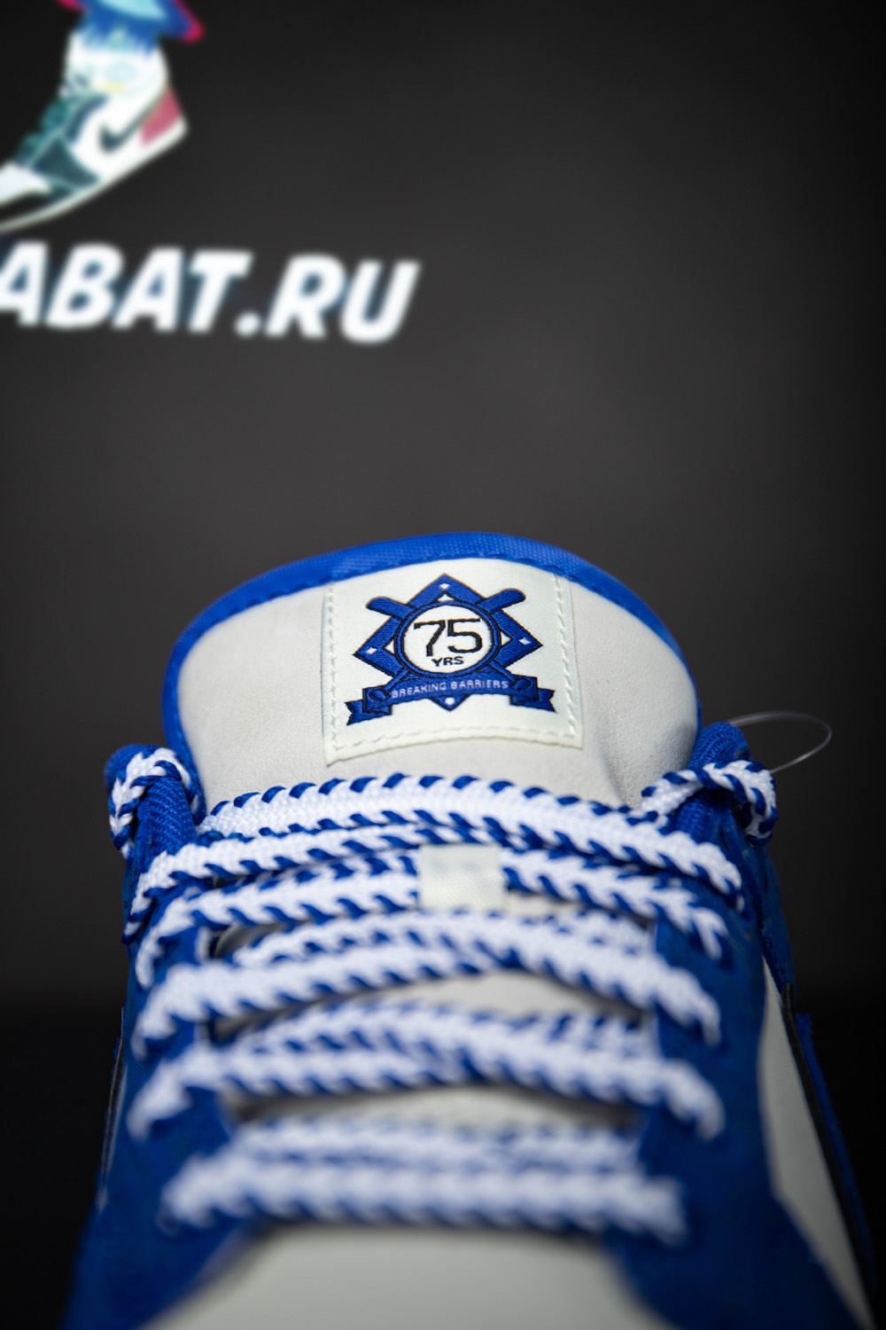 DUNK LOW 